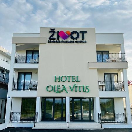 Olea Vitis Hotel Medjugorje Exterior photo